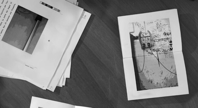 Erika Volpicelli, Mali culturali