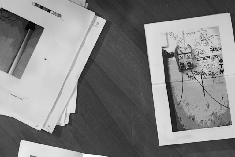 Erika Volpicelli, Mali culturali