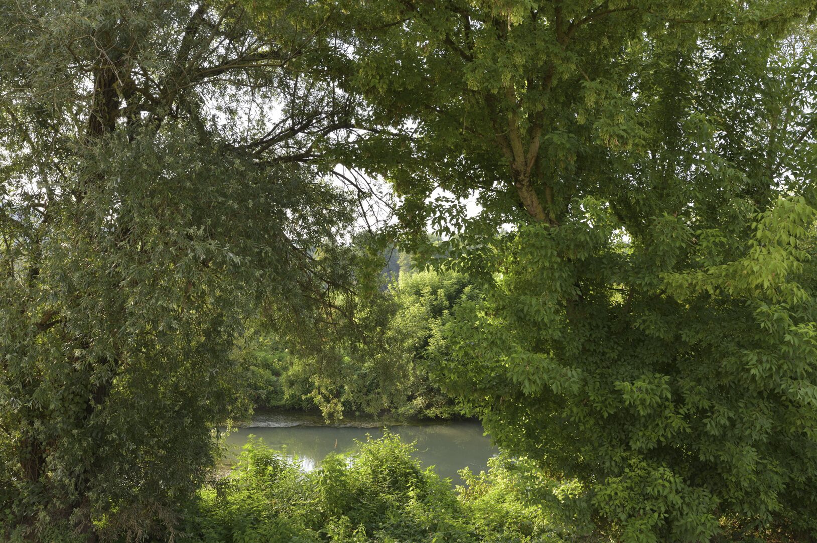 © Andrea Rosset, 12 Luglio 2024